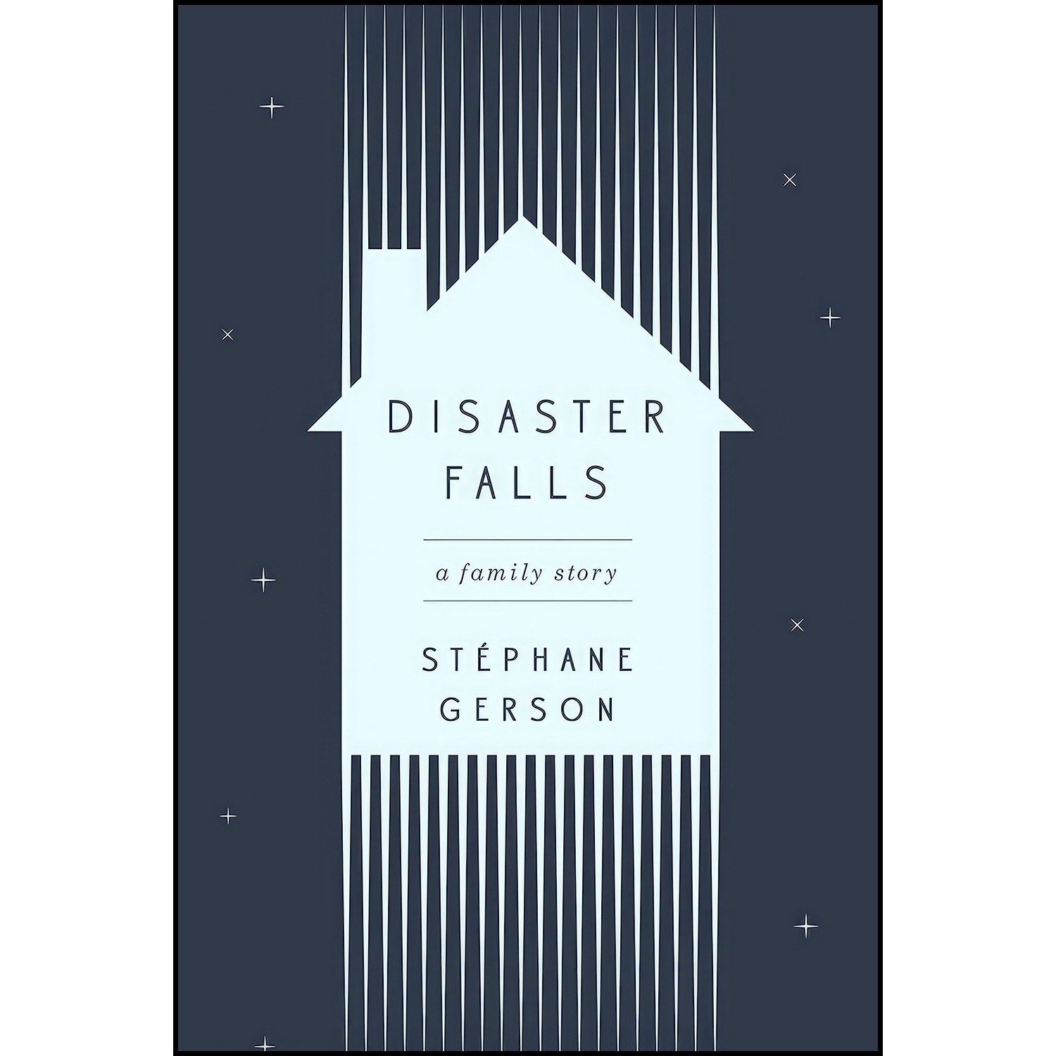 کتاب زبان اصلی Disaster Falls اثر Stephane Gerson and Stephane Gerson
