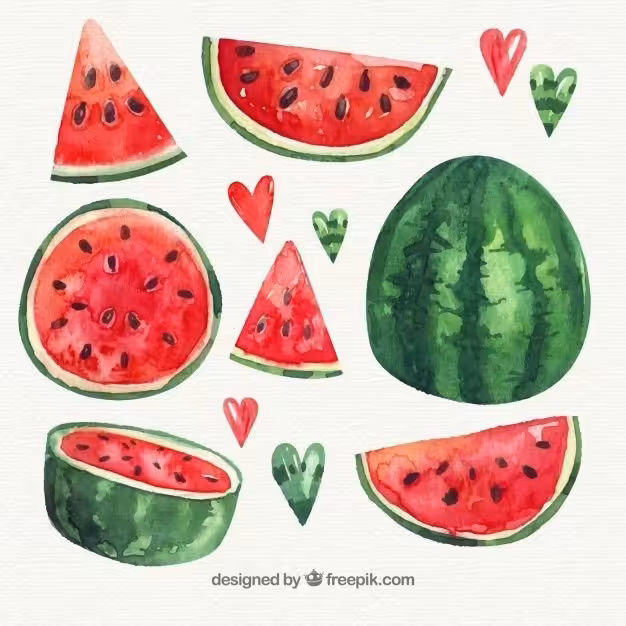 پک استیکر هندونه³«از کالکشن یلدایی» مناسب استفاده برای بولت ژورنال اسکرپ بوک و غیره