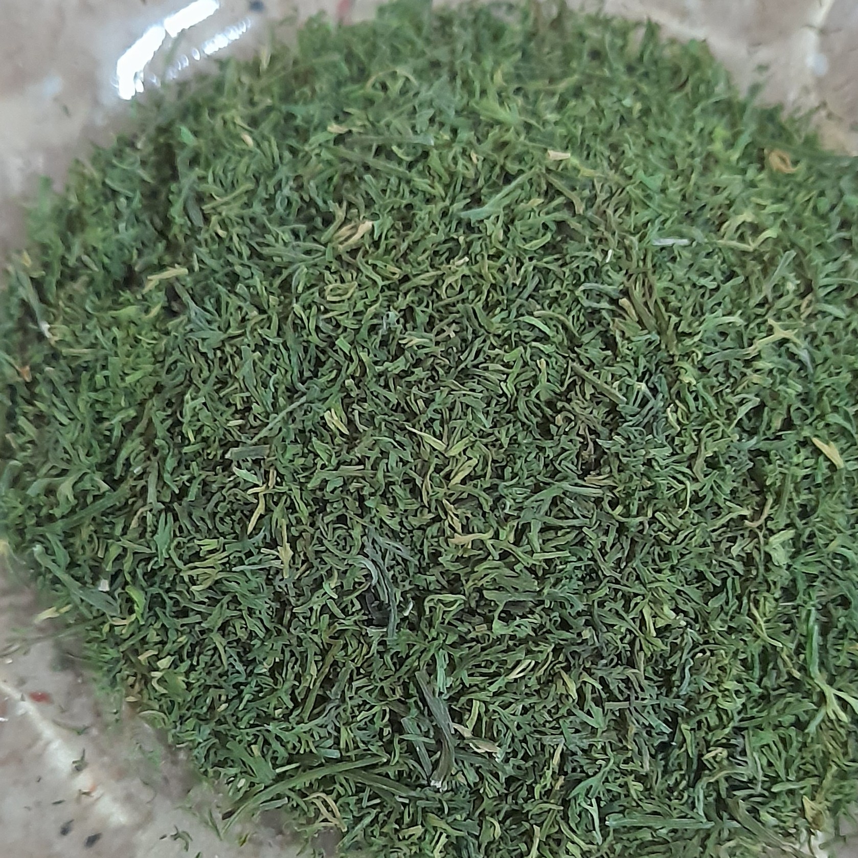 شوید خشک ارگانیک (100گرم)