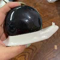 فرچه شستشوی حلزون 