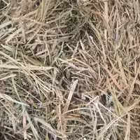 بولاغ اوتی (سیم اوتی) - 1 کیلو