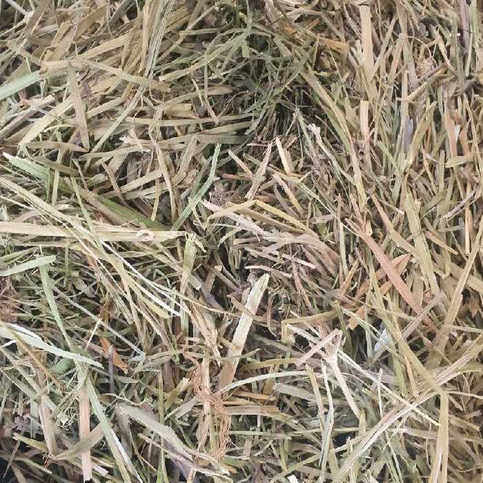 بولاغ اوتی (سیم اوتی) - 1 کیلو