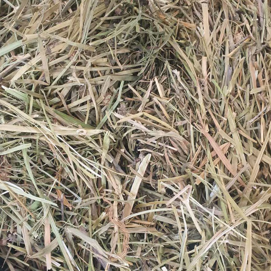 بولاغ اوتی (سیم اوتی) - 1 کیلو