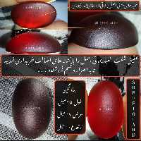 عقیق شفت العبد یمانی تمری دامله اصل