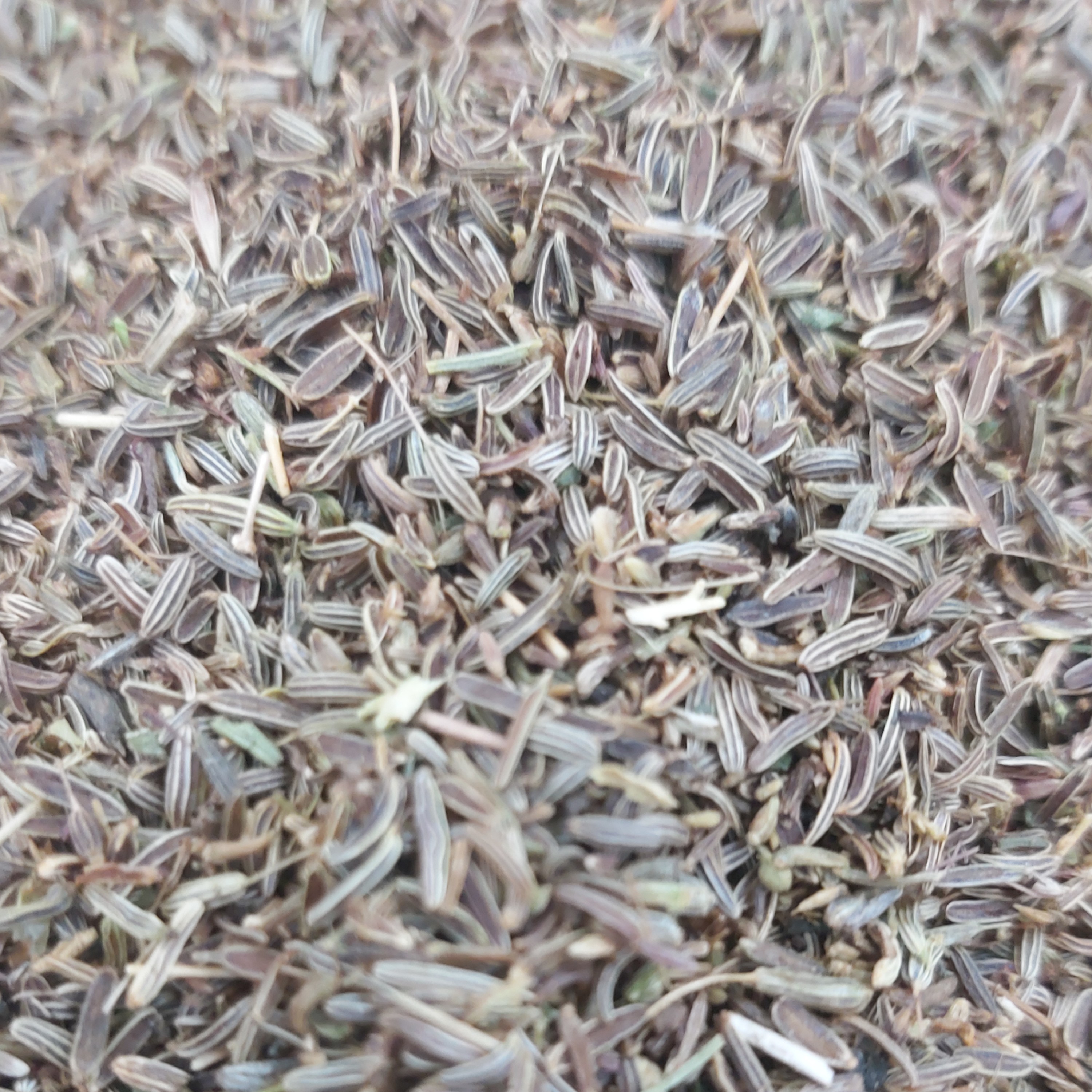 زیره سیاه سورت تمیز با عطر و طعمی عالی 