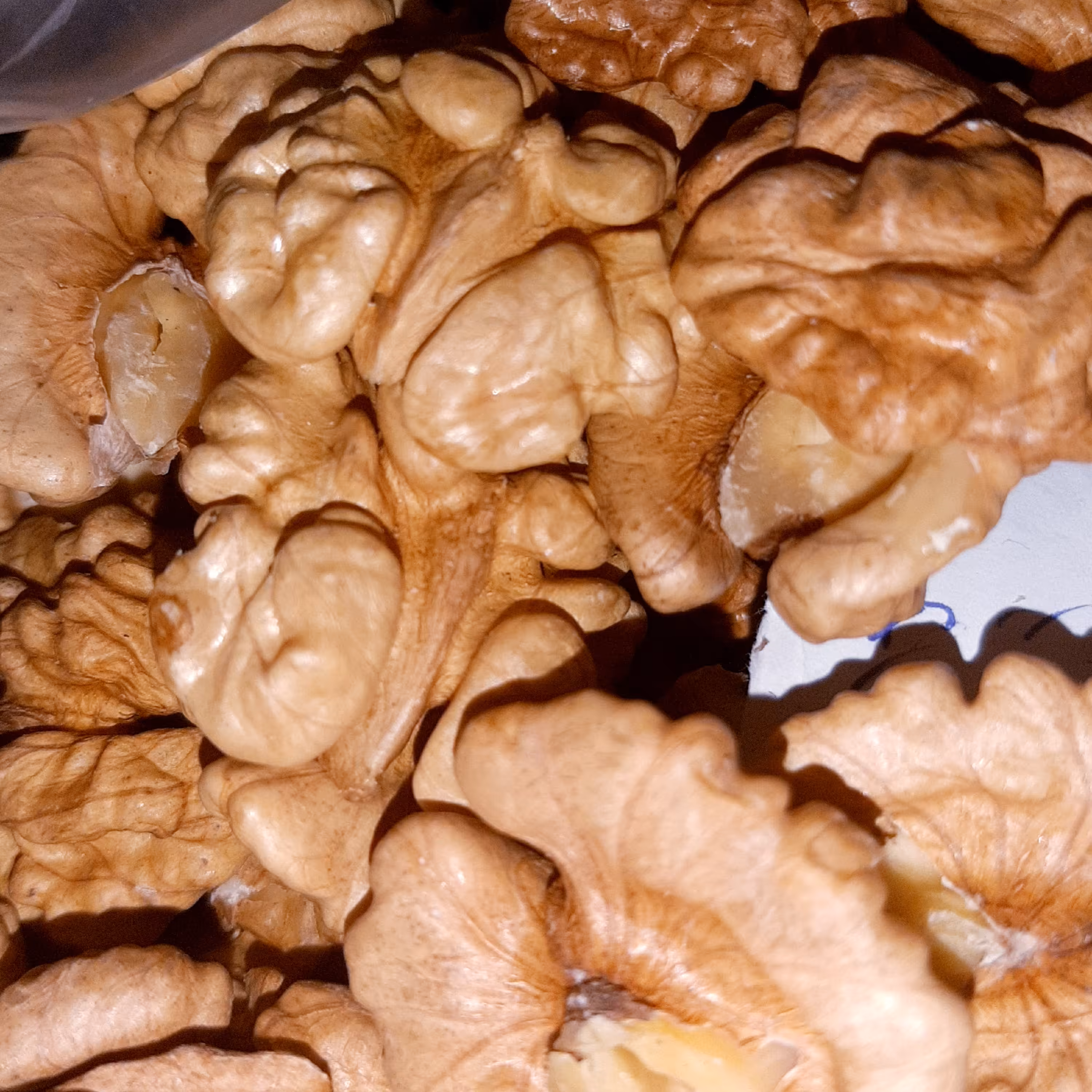 گردوی درجه یک مراغه