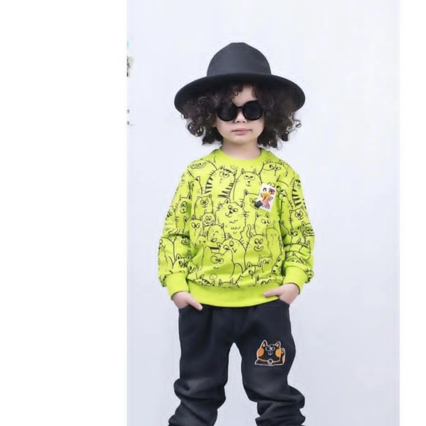 ست بلوز شلوار بچگانه  پسرانه گربه ای مناسب چهار تا شش سال