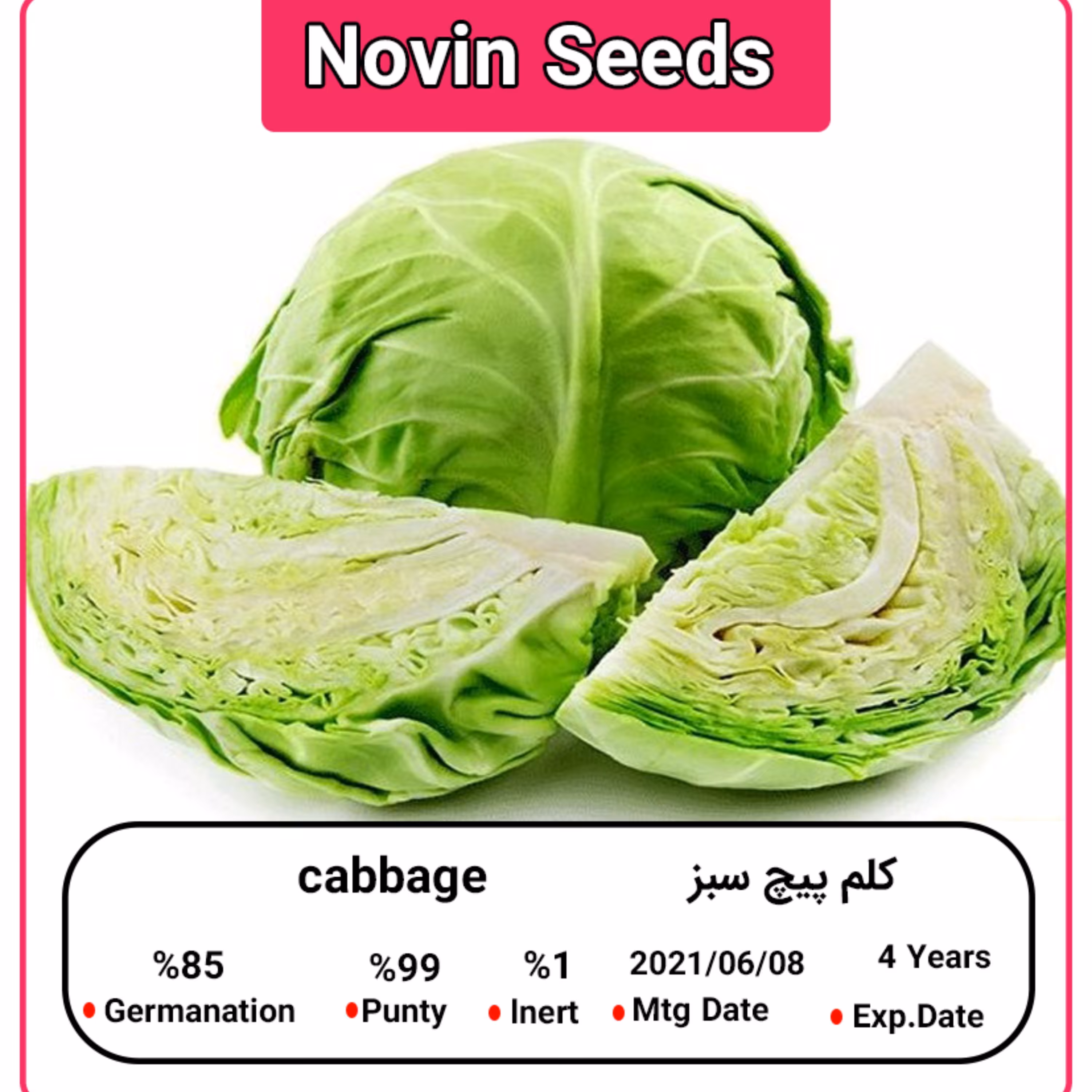 بذر کلم پیچ سبز
