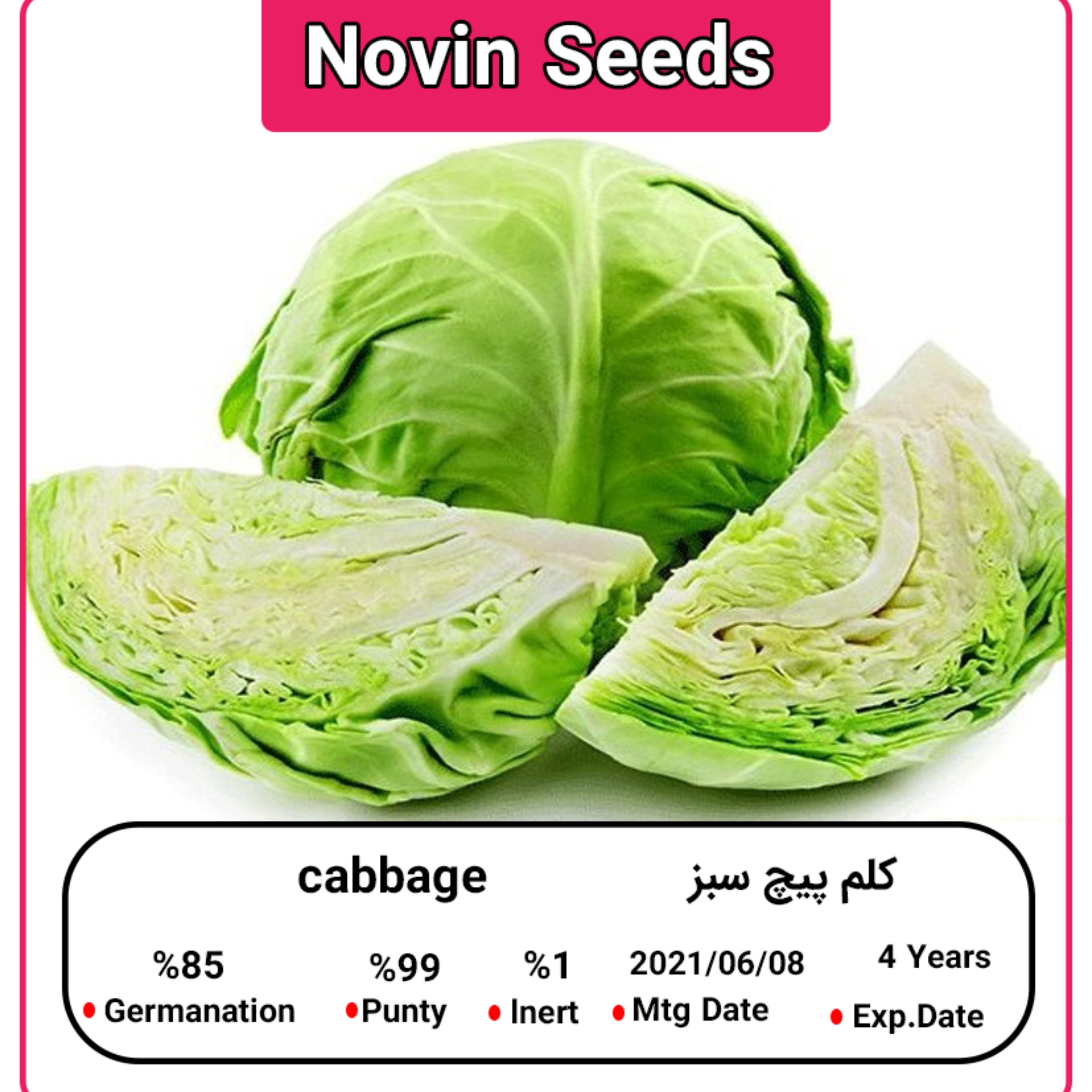 بذر کلم پیچ سبز