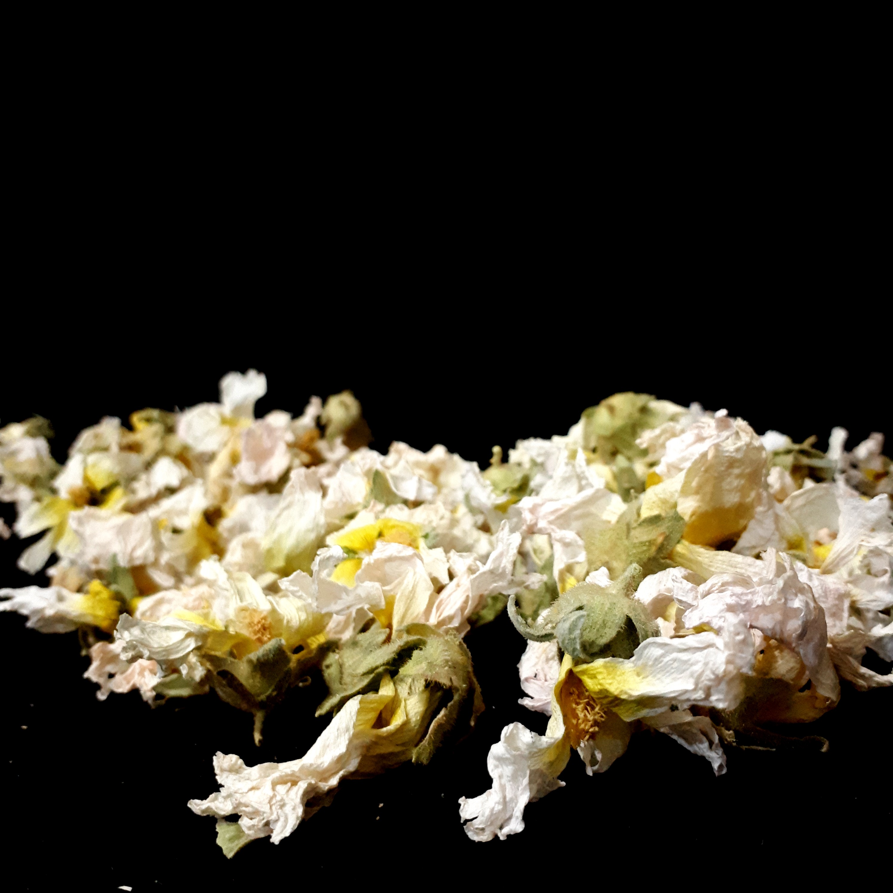 گل ختمی شک شده 100 گرم