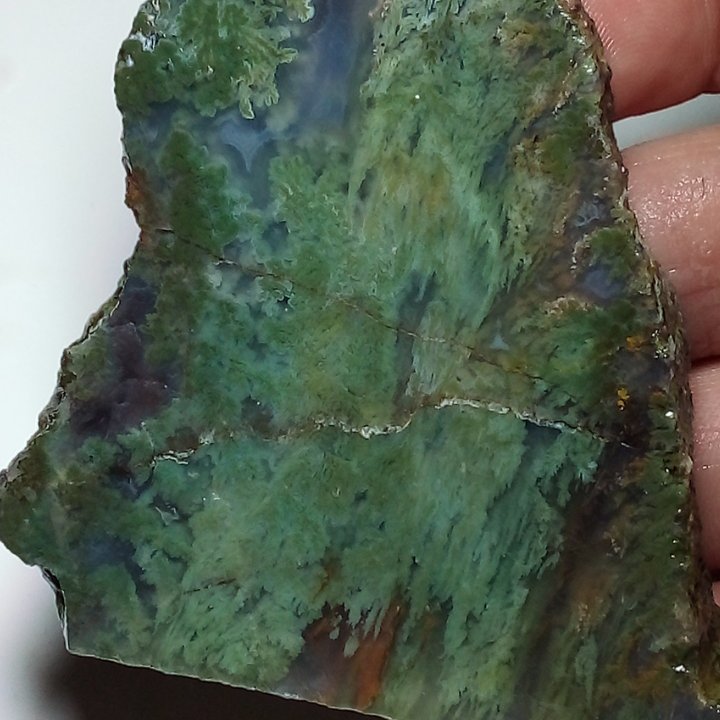 انواع اسلایس عقیق شجر