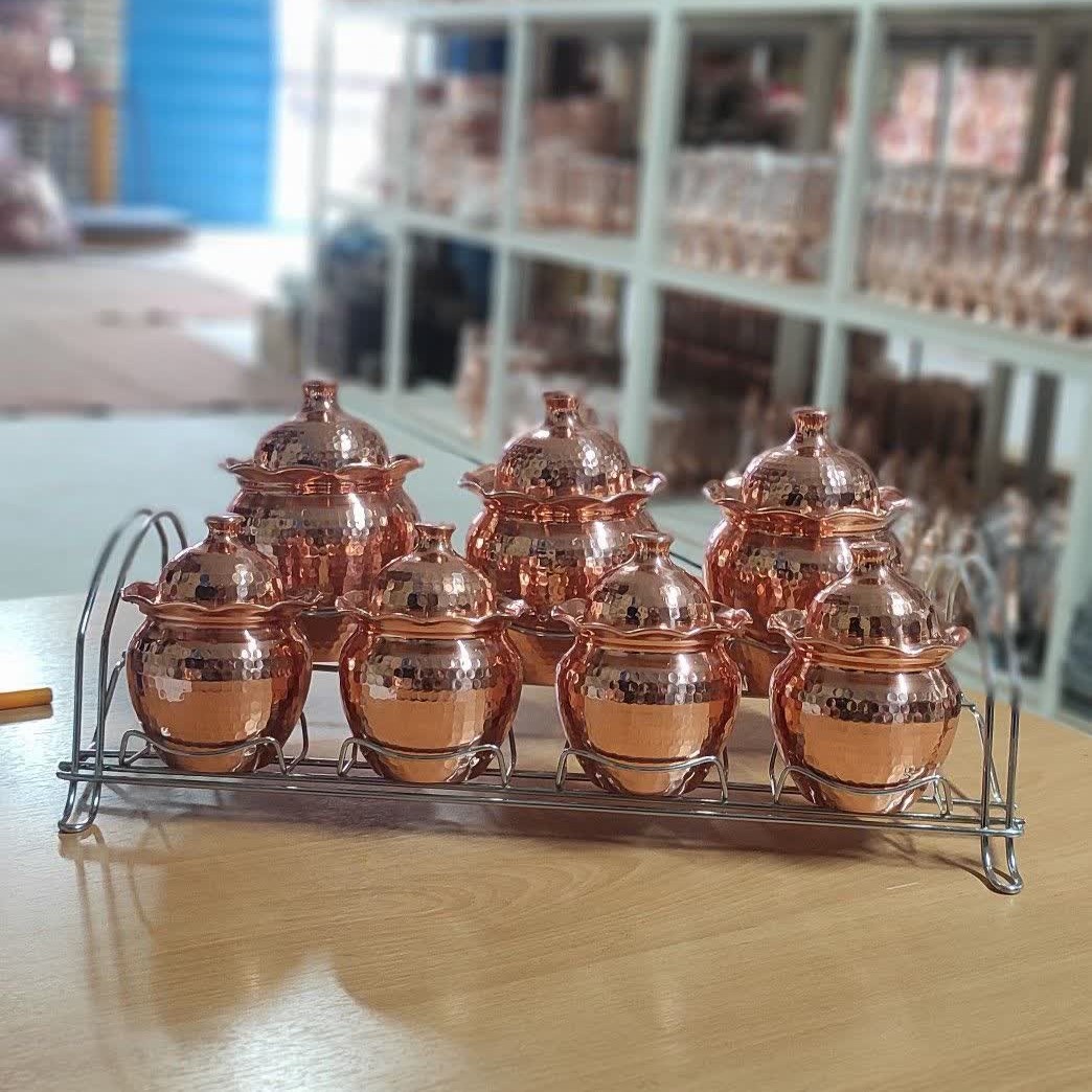 سرویس پاسماوری زنجان نانو شده همراه با استند فلزی 