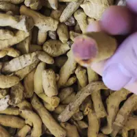 نیم کیلو زردچوبه درجه یک هندی مارک توبک هم قلم و هم پودر شده 