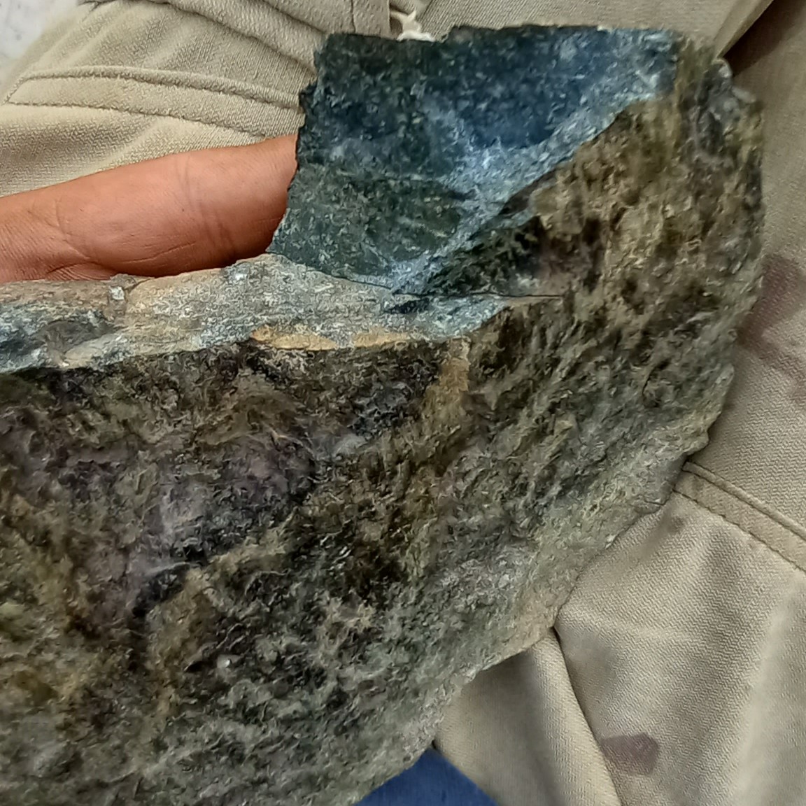 راف سرپانتین