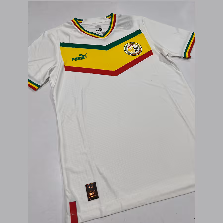 کیت اول تیم ملی سنگال جام جهانی 2022 قطر ورژن پلیر (بازیکن)