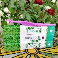 مسواک  پرسیکا  طبیعی