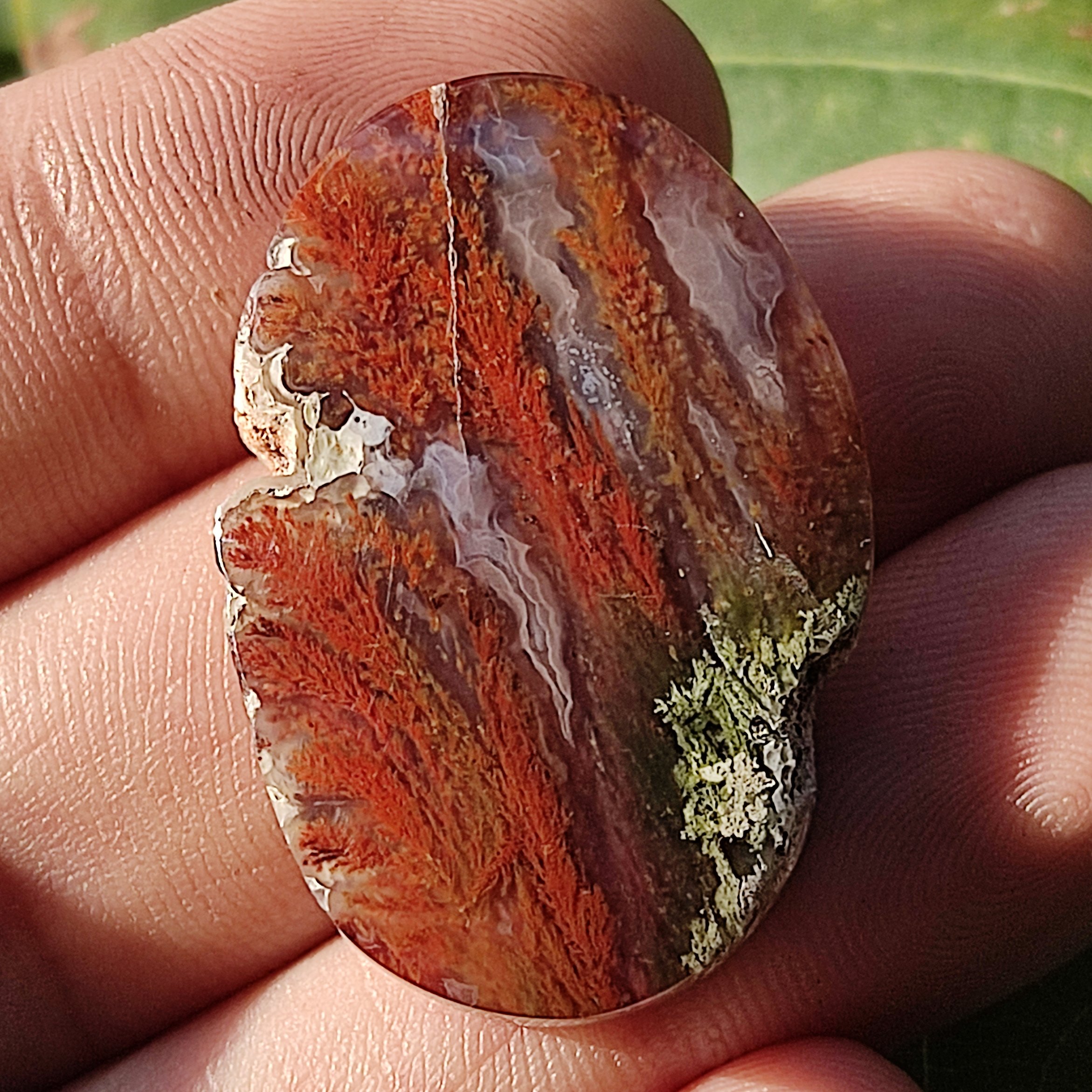 نگین شجر تک درختی درشت رنگی بینظیر 38×25 میل 