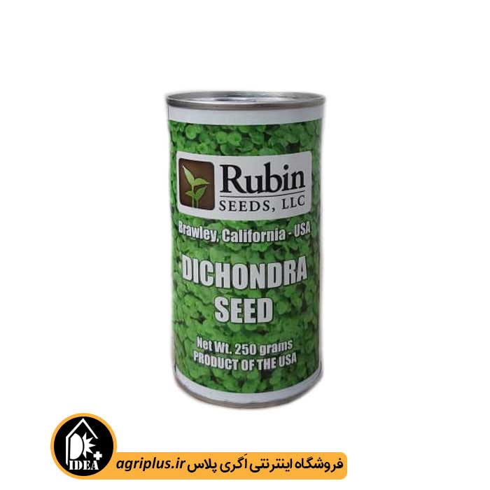 بذر شبدر زینتی دایکوندرا روبین