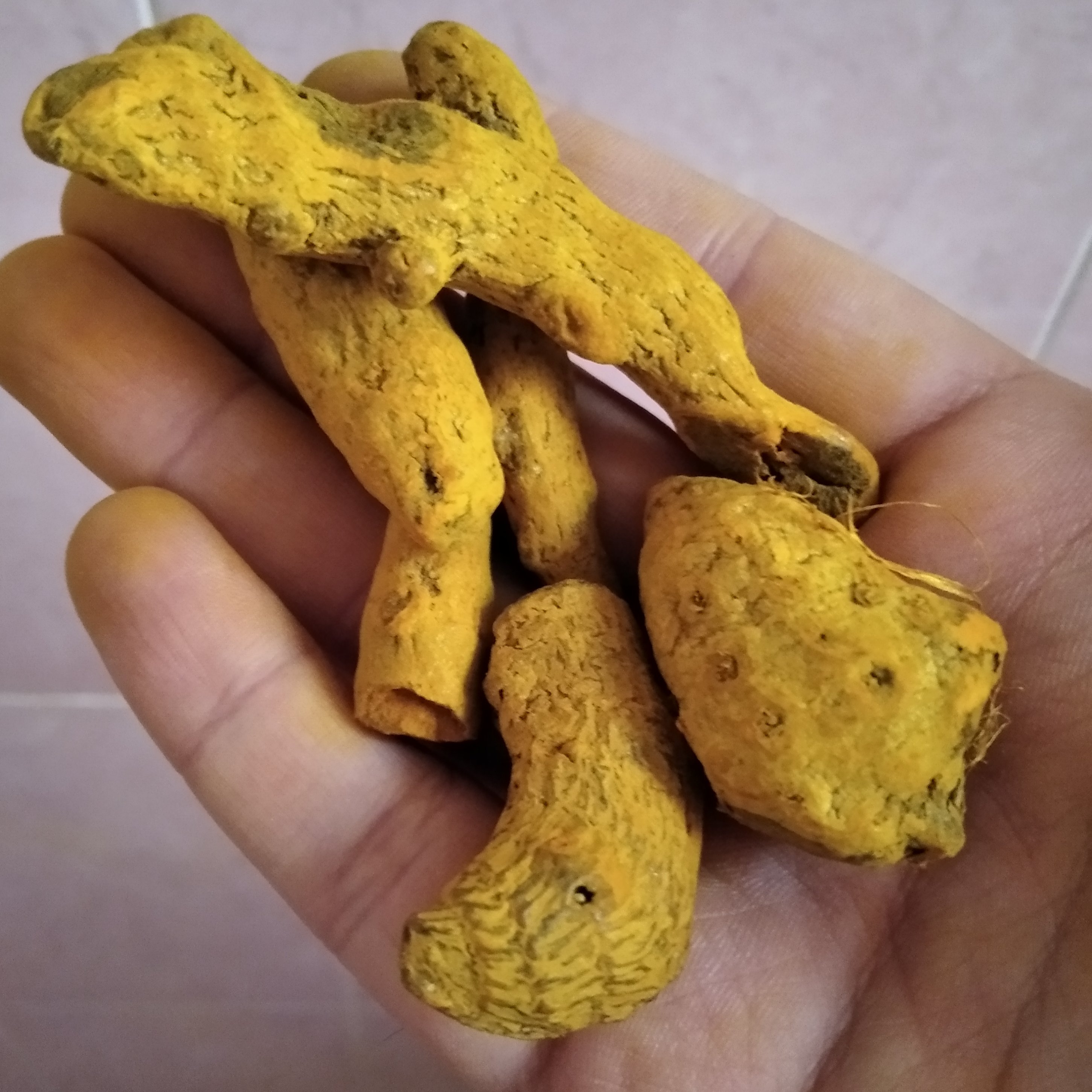 قلم زردچوبه  هند(کیسه 50کیلو)