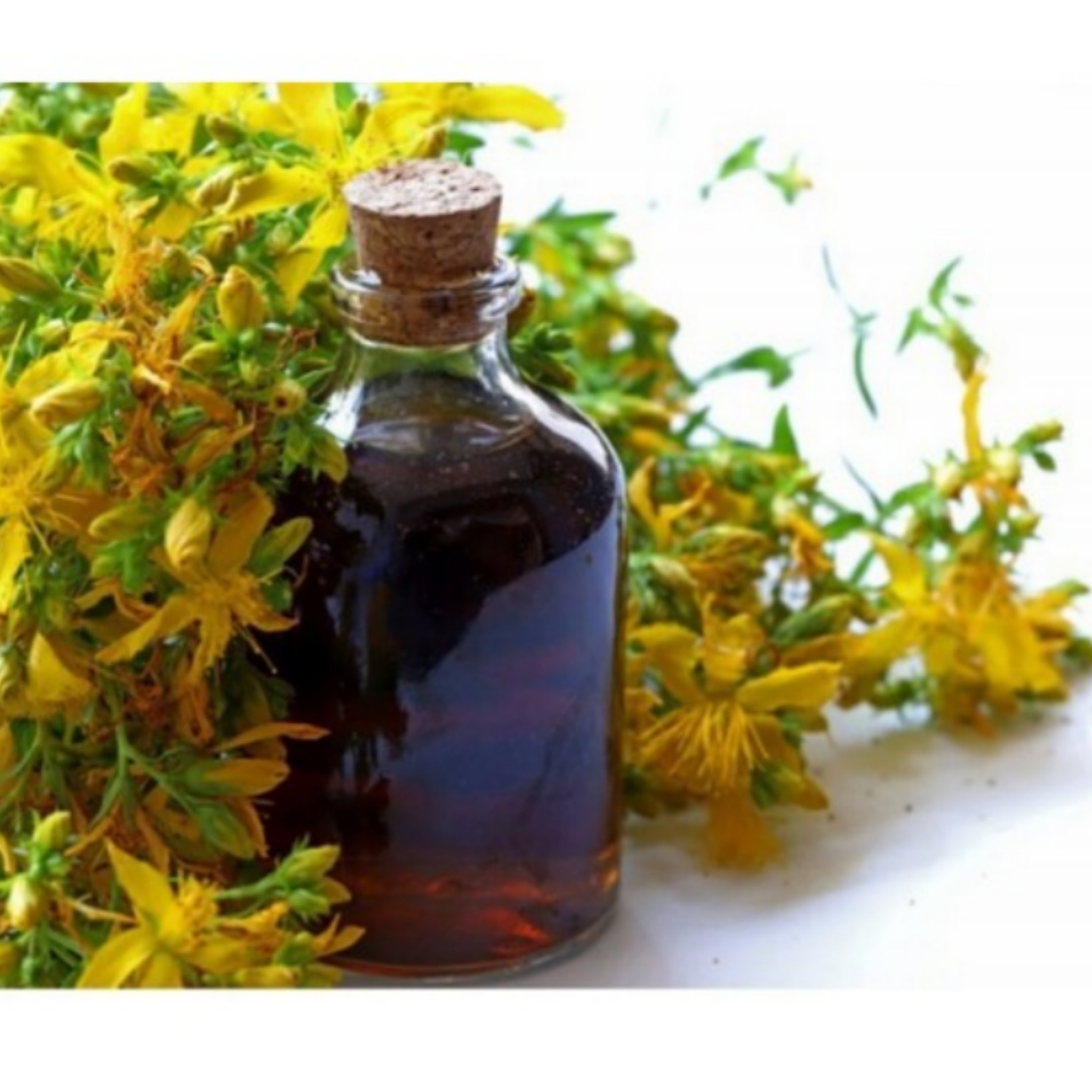 روغن هفاریقون 30 سی سی. روغن علف چای