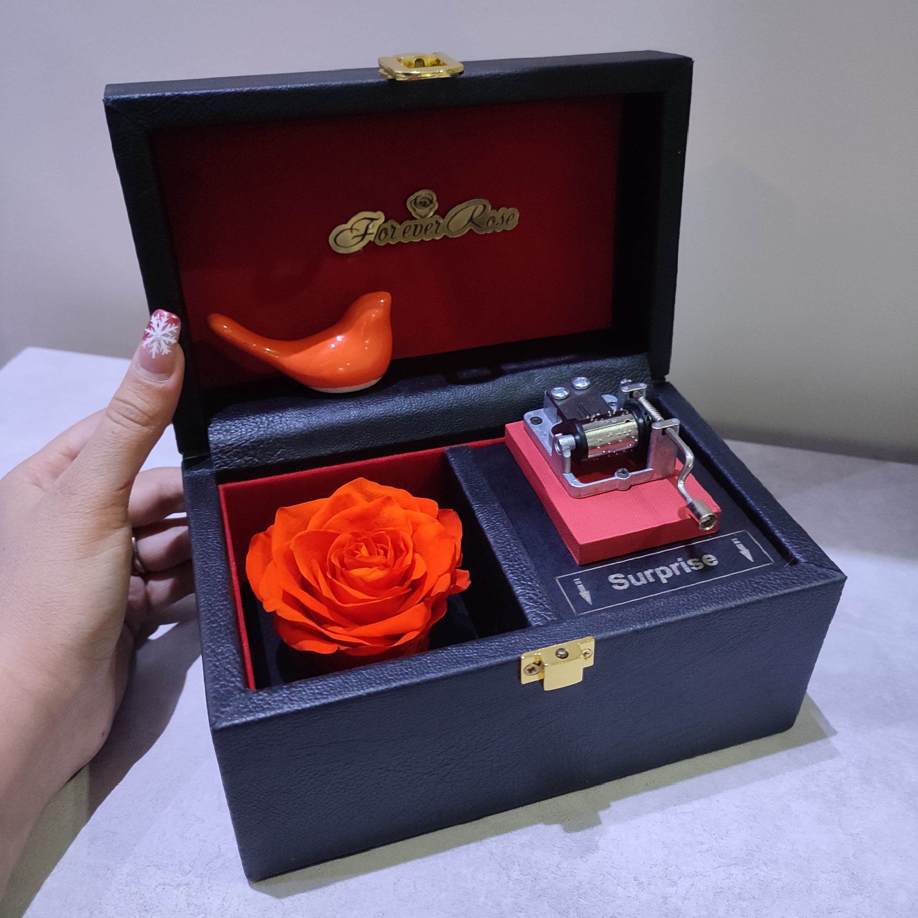 رز جاودان موزیکال چرمی نارنجی ارسال رایگان