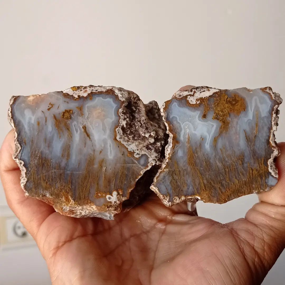 جفت سنگ راف شجر درختان کشیده