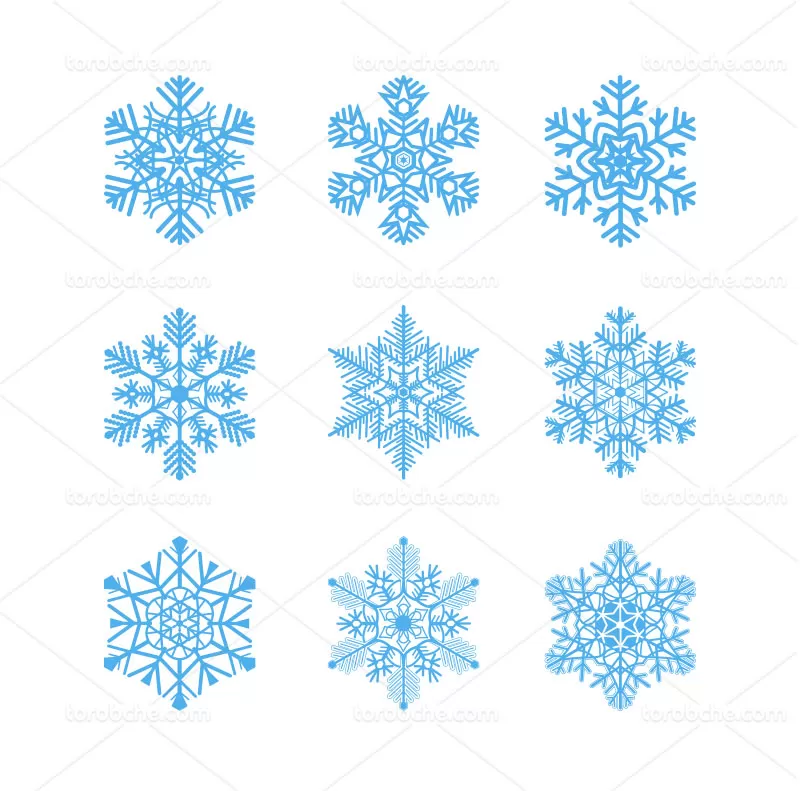 وکتور دانه برف | گرافیک با طعم تربچه