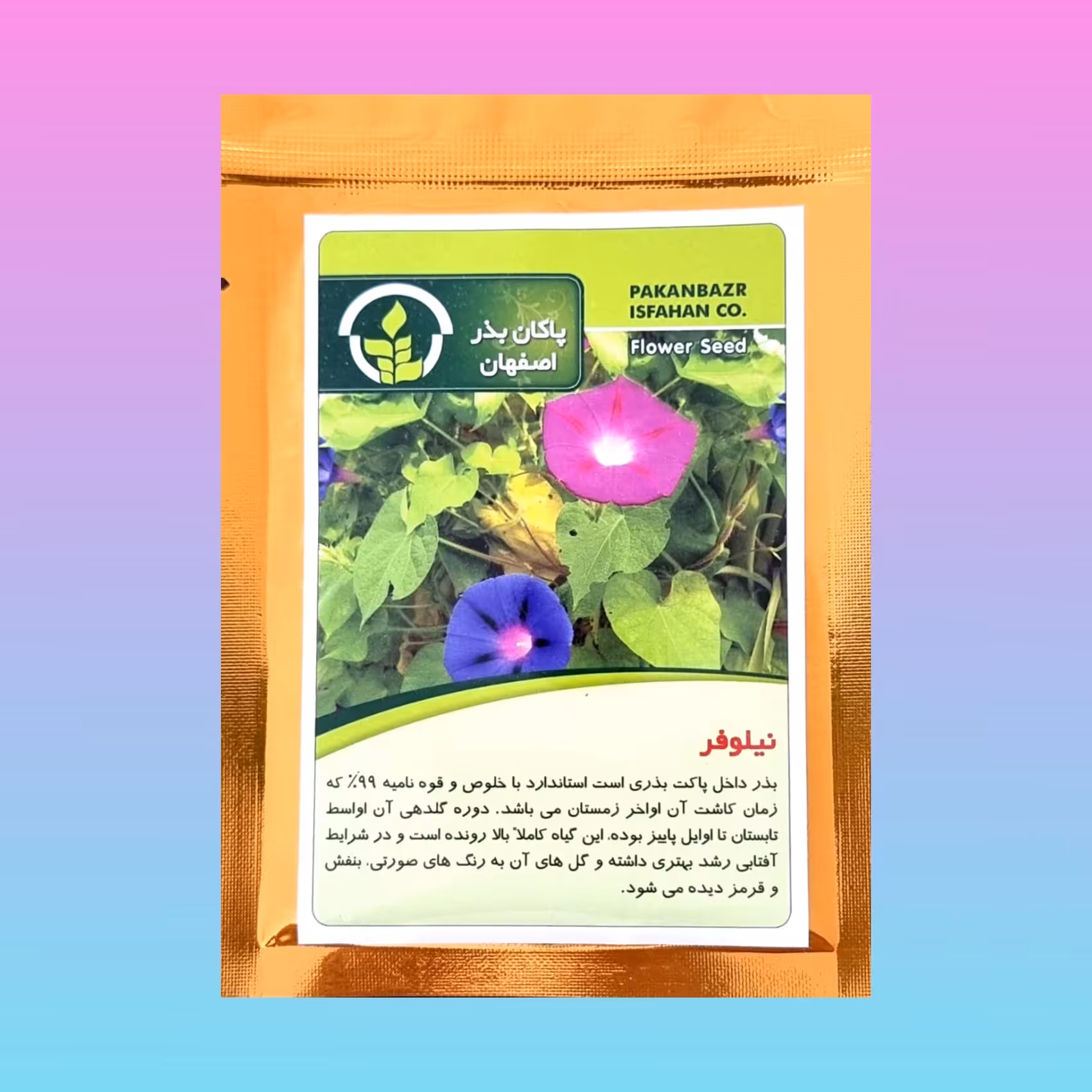 بذر گل نیلوفر پاکان بذر اصفهان