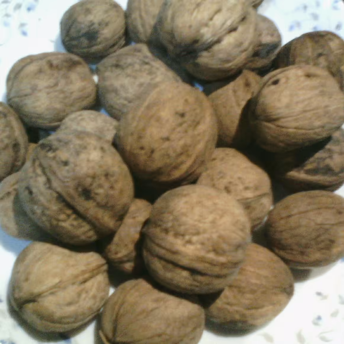 گردو ایرانی ارگانیک پوست نازک کاغذی - 500 گرم