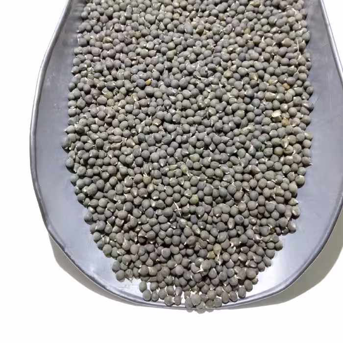 بذر بامیه سبز خرمشهری اعلاء تولید 1402بسته 250 گرمی