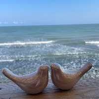 گیفت عقد مرغ آمین بسته ی 50 عددی