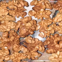 مغز گردو درجه یک امسالی ( 1000 گرمی)