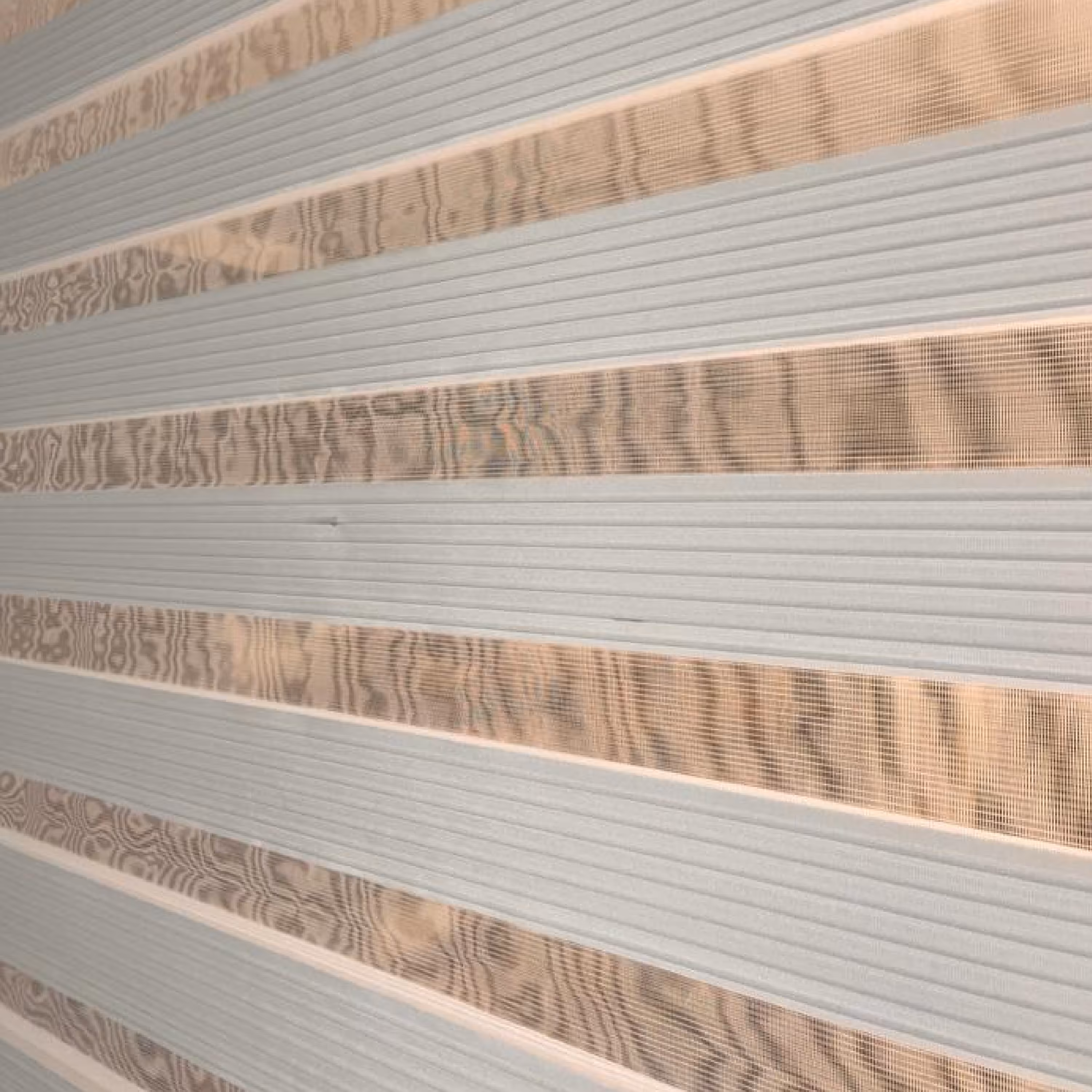 زبرا پلیسه صدفی