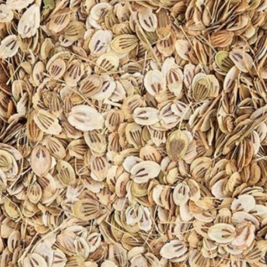 گلپر درشت اعلاء 100 گرمی