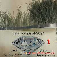 پر سوزنی ، درجه یک ، رنگ طوسی 