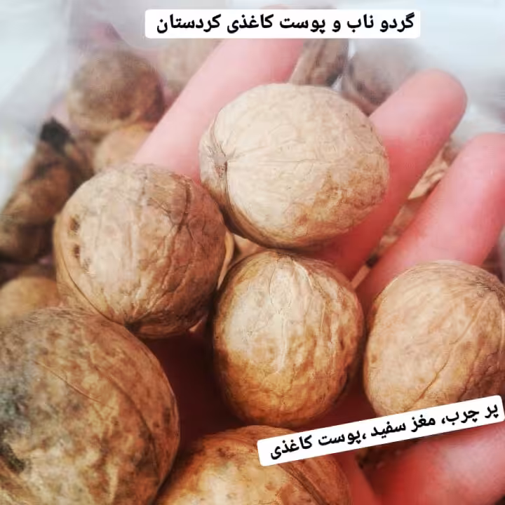 گردوپوست کاغذی 1402 کردستان کاغذی  درجه یک  10کیلویی امسالی