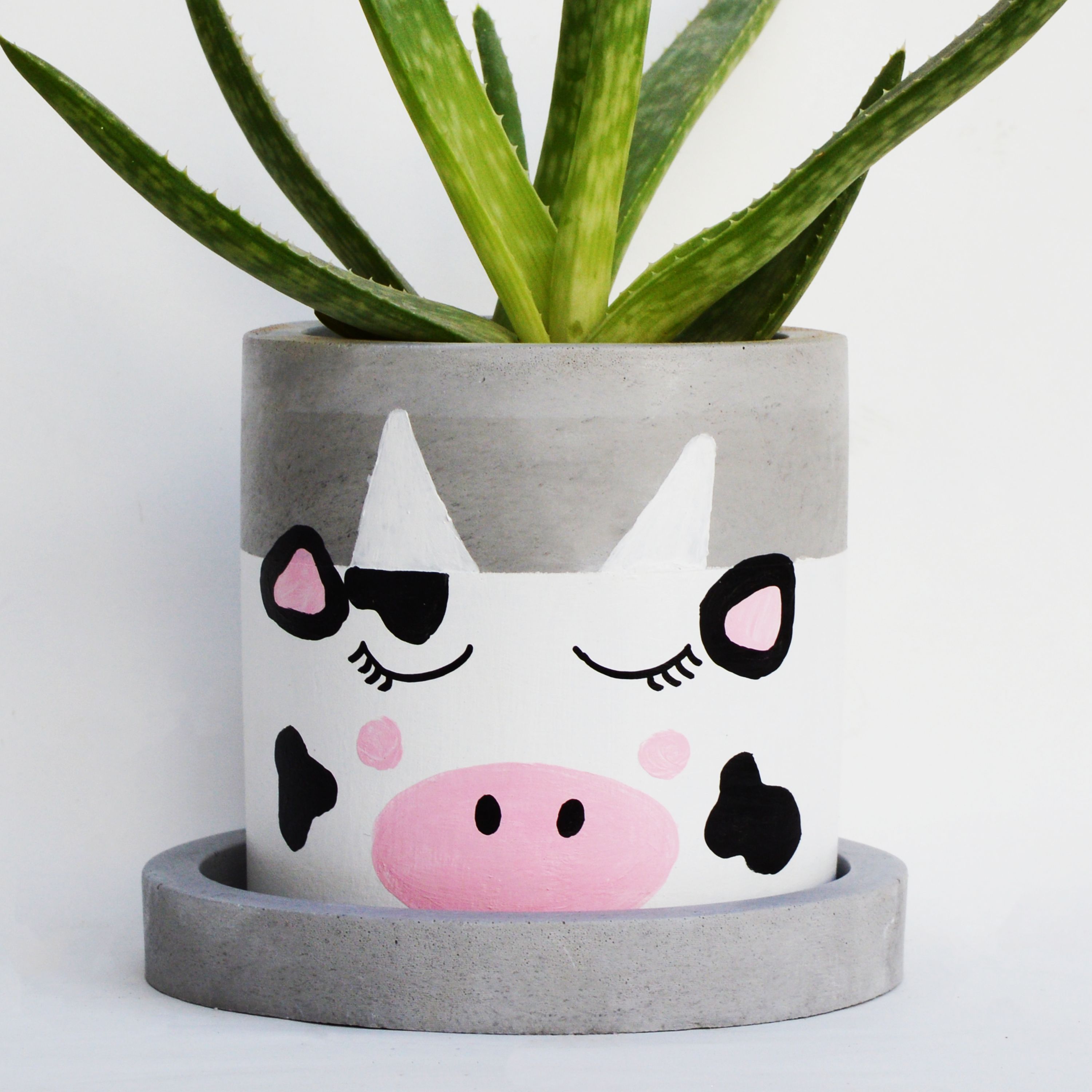 گلدان استوانه بتنی طرح گاو همراه با زیرگلدانی