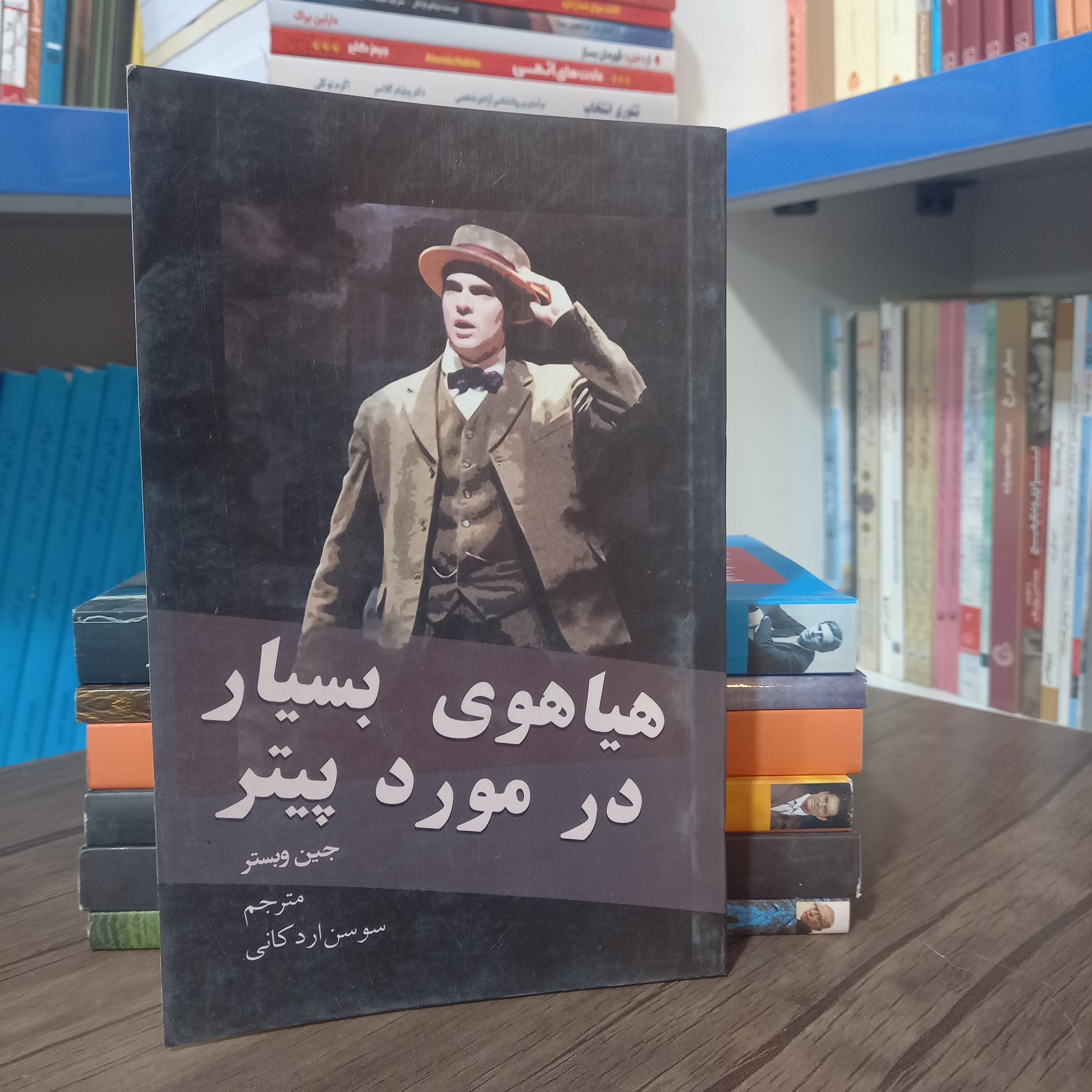 کتاب رمان هیاهوی بسیار درمورد پیتر اثر جین وبستر