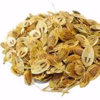 گلپرساده 500 گرمیKFC