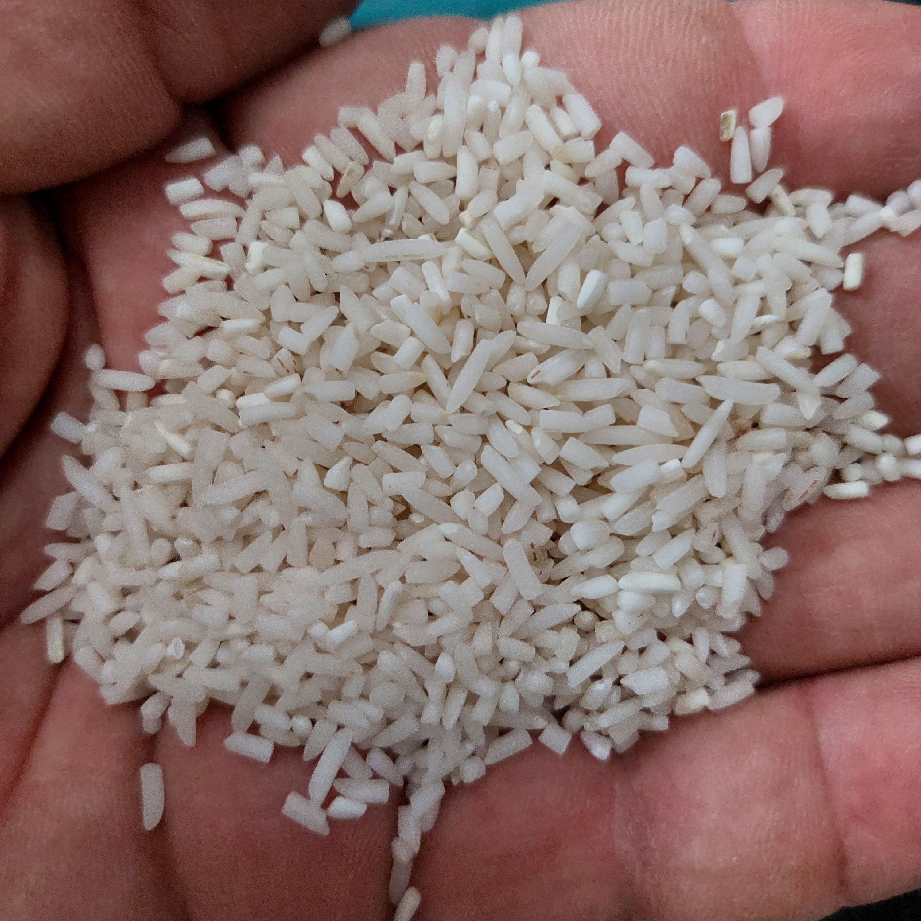 برنج لاشه شیرودی خوشپخت ده کیلویی برنج شمال