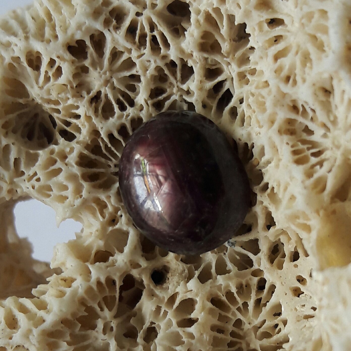 نگین یاقوت استار اصل افریقا کاملا طبیعی