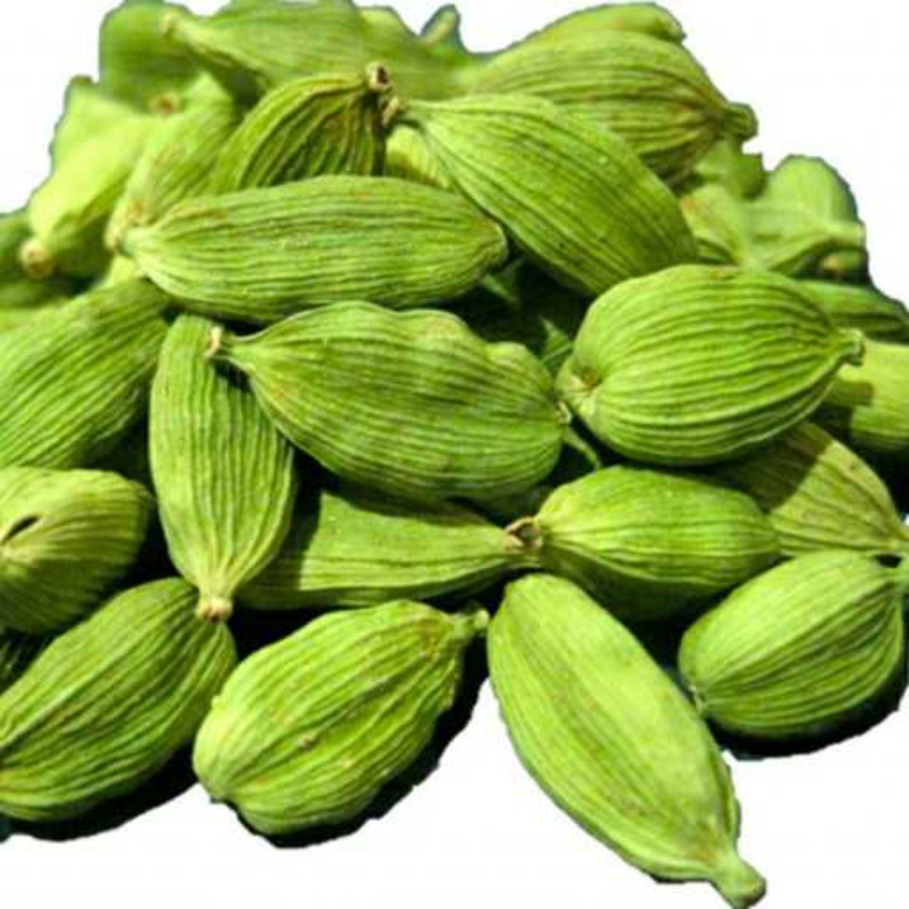هل اکبر بفنش هندی(75 گرمی)