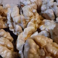 مغز گردو ممتاز  تازه خوی 500 گرمی