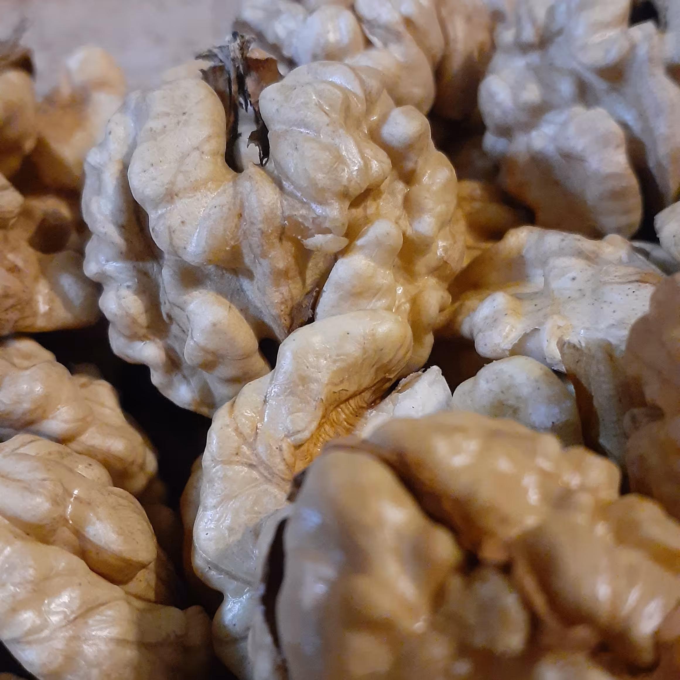 مغز گردو ممتاز  تازه خوی 500 گرمی