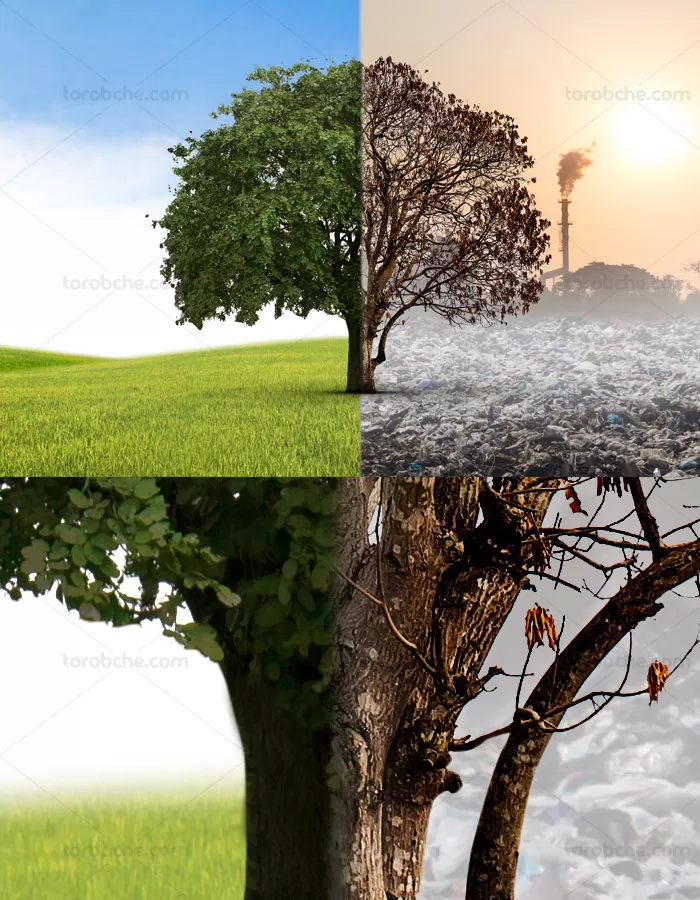 عکس با کیفیت مفهومی طبیعت پاک و محیط ناسالم و آلوده - گرافیک با طعم تربچه