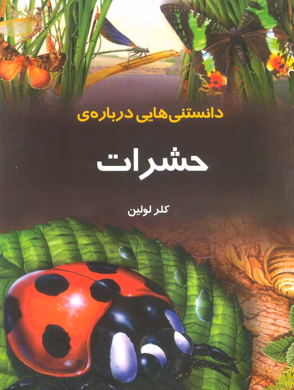 دانستنیهایی درباره ی حشرات (گلاسه) - ناشربوک | خرید آنلاین کتاب