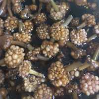 گل سیر  ساده و رب اناری ویژه