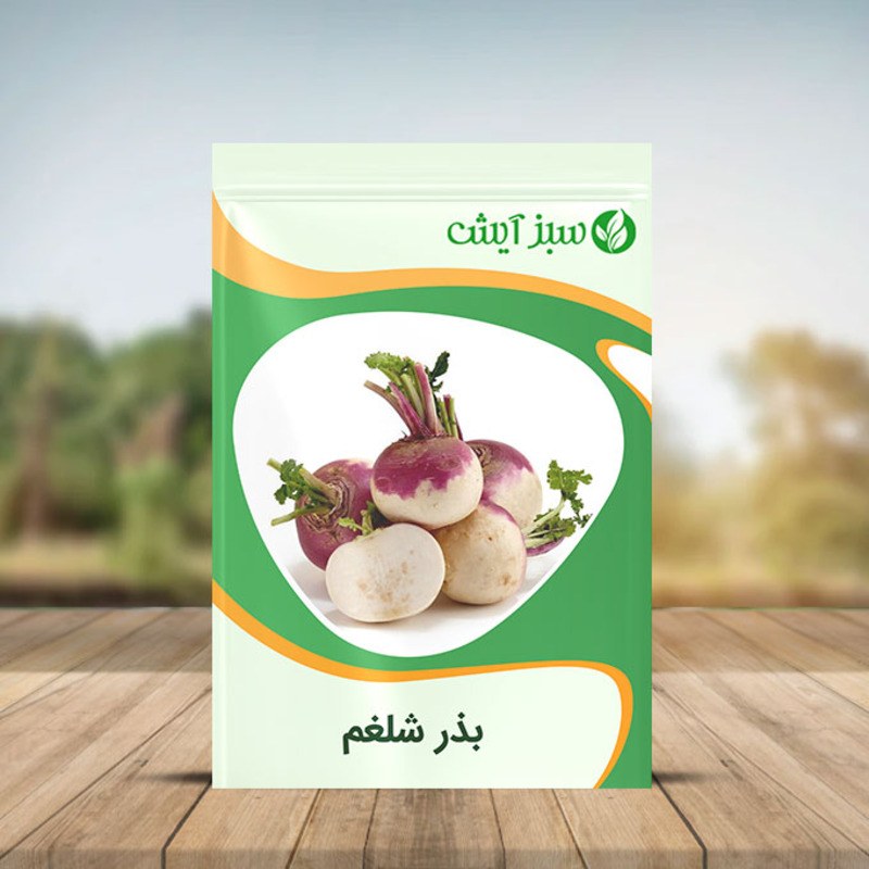 بذر شلغم