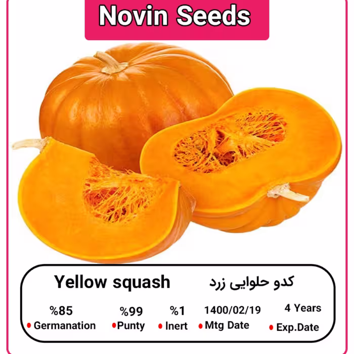 بذر کدو حلوایی زرد (100 گرمی)