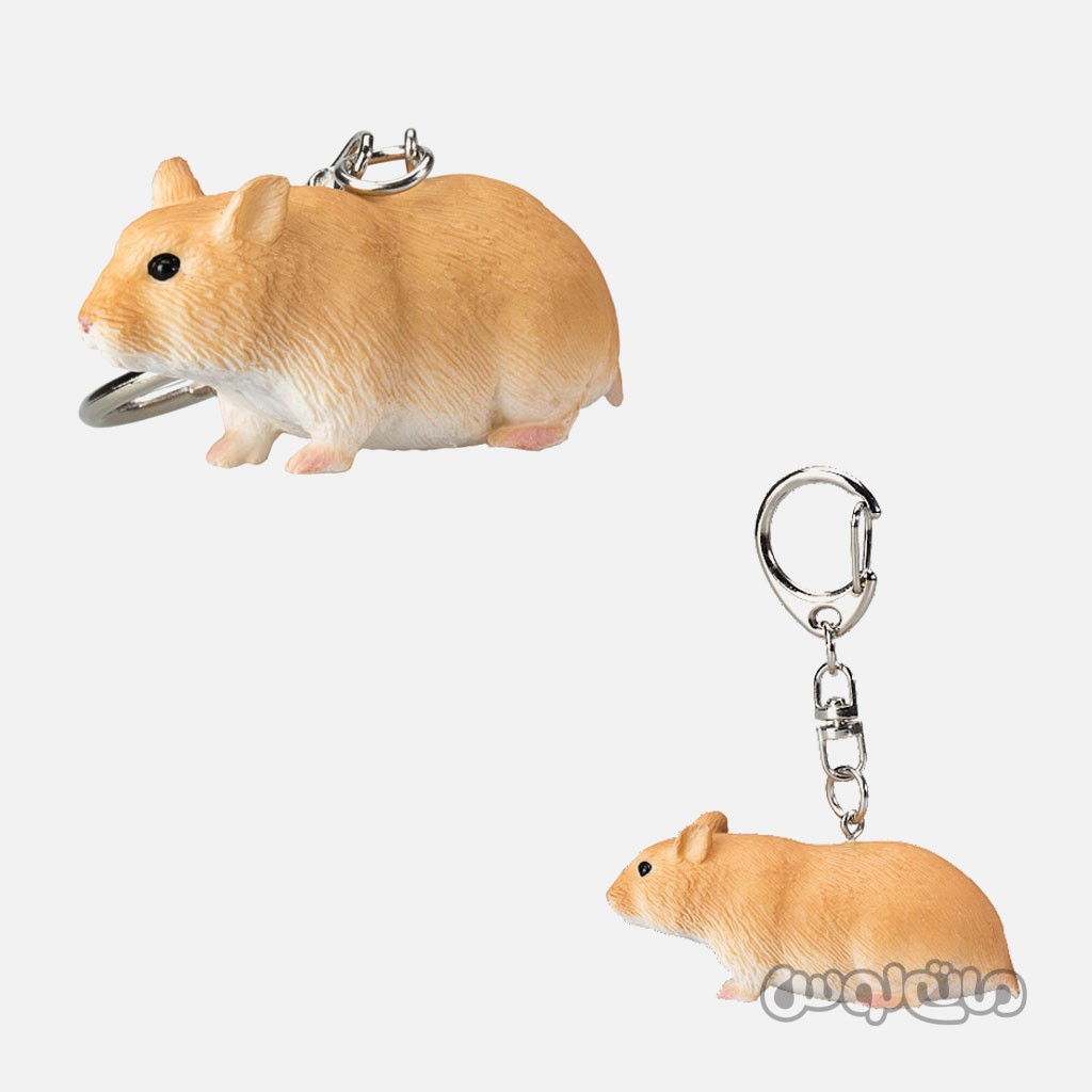 جاکلیدی همستر موجو


